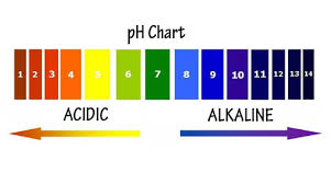 Pleomorphism - pH Scale